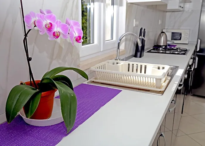 River Rose Mokošica